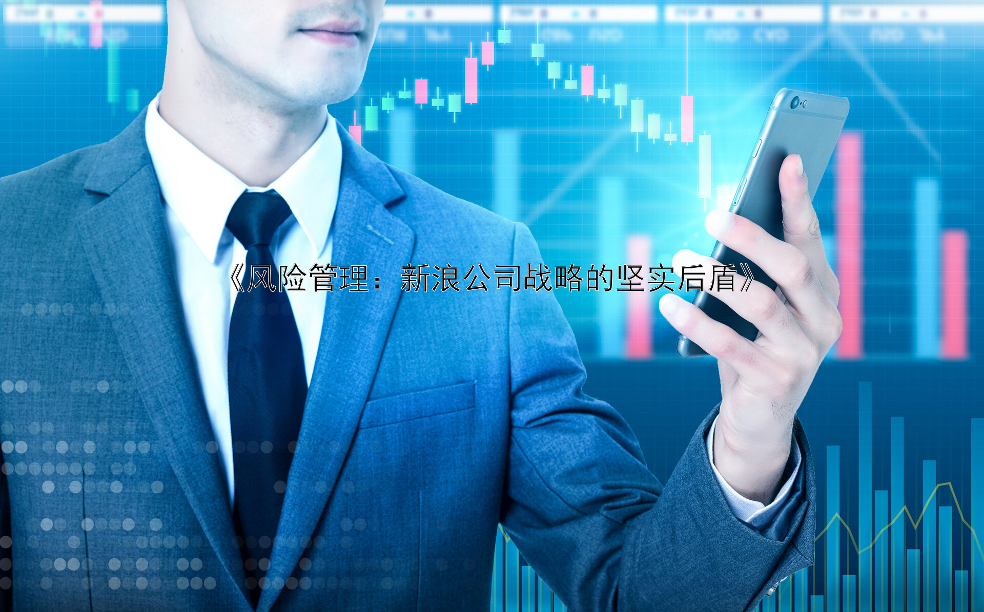 《风险管理：新浪公司战略的坚实后盾》