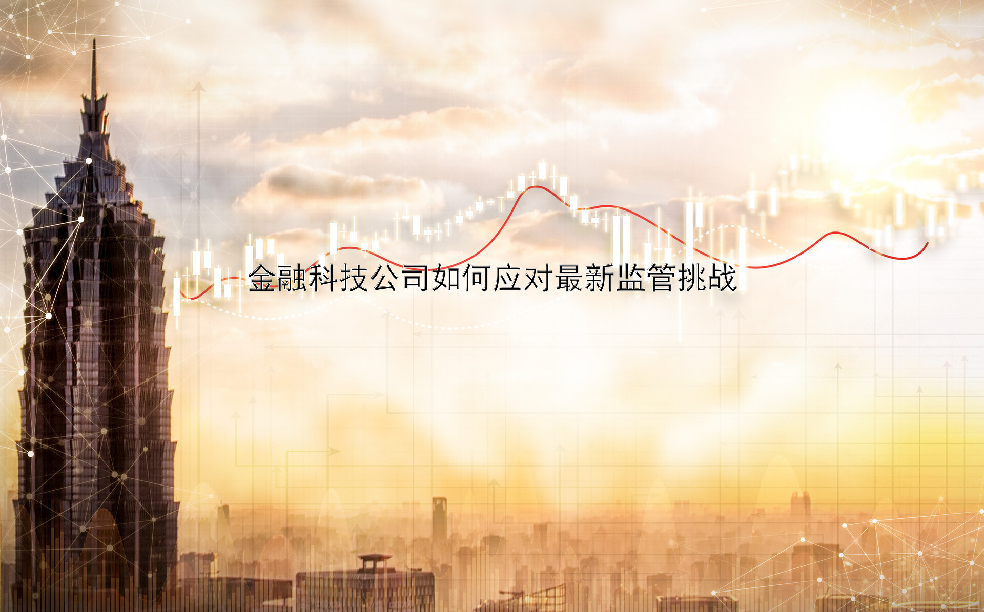 金融科技公司如何应对最新监管挑战